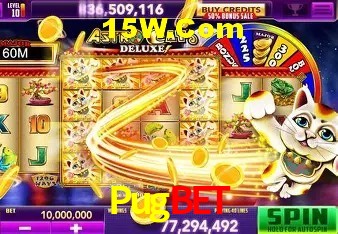 Experiência VIP Pugbet