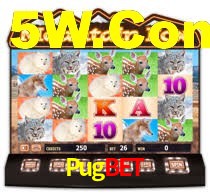 Sinta a adrenalina dos jogos de cassino com Pugbet